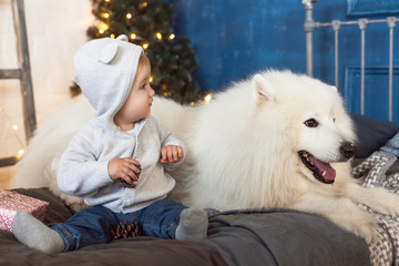 A little baby is sitting with a white fluffy dog - a samoyed against a brick wall, gifts, a Christmas tree with a garland. New Year, Christmas card in a Scandinavian interior