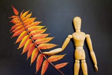 Wooden puppet doll holds a twig with autumn yellow and orange leaves, studio photo
