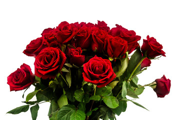 Bouquet of red roses with white background