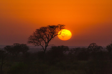 Afrika sundown classical