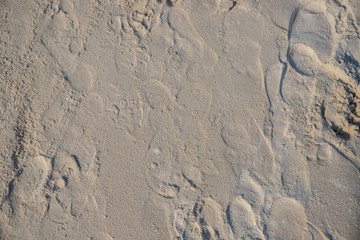 White sand beach texture. Sea coast top view photo. Sea sand with step mark texture. Smooth sand surface with foot marks