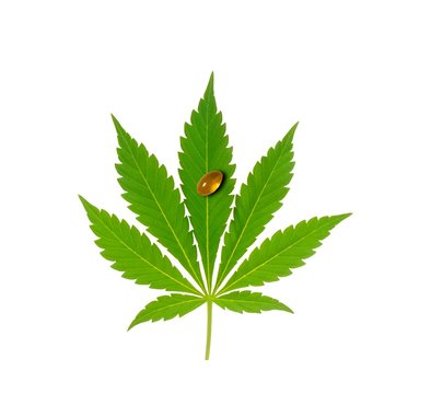 Cannabis leaf with oil capsule
