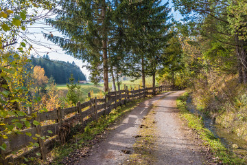 Waldweg mit Holzzaun
