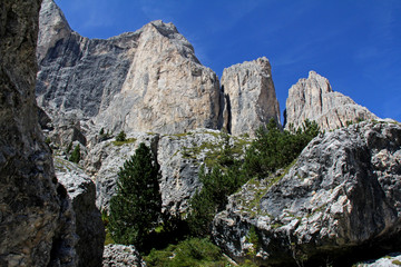 le cime del Catinaccio e le Torri del Vajolet; Dolomiti di Fassa