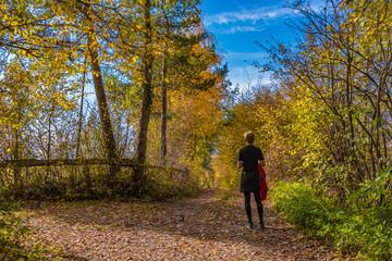 Fototapeta premium Herbstwanderung