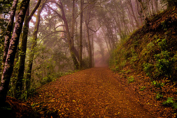 PRECIOUS NATURAL PARK