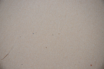 White sand beach texture. Sea coast top view photo. Sea sand natural texture. Smooth even sand surface with grains