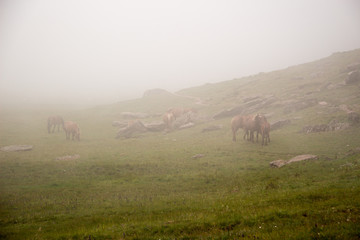 Obraz premium paisaje natural con cielo