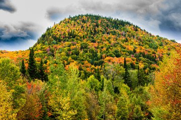 Obraz premium Fall scene in the Quebec cottage country with golden leaves and fall colors.