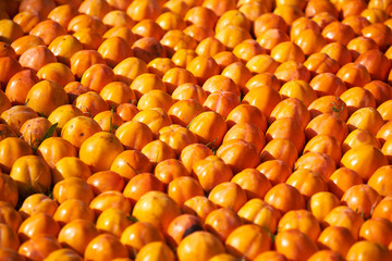Abstract fruit food background, close-up. Agriculture concept with fresh fruits. Yellow orange persimmon background, outdoors