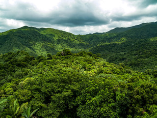 El Yunque Rainforest, Puerto Rico