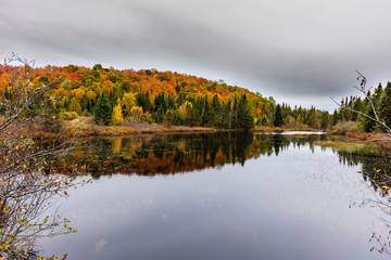 Fall scene in the Quebec cottage country with golden leaves and fall colors.