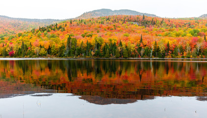 Fall colors of Lac Legault with Mont Kaaikop in the background, in cottage country in the Laurentians, Quebec, Canada.