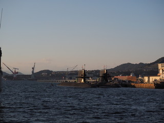 Fototapeta premium OLYMPUS DIGITAL CAMERA