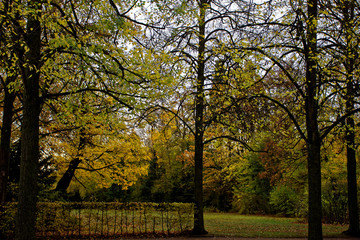 Naklejka na ściany i meble autumn day in a deserted Park