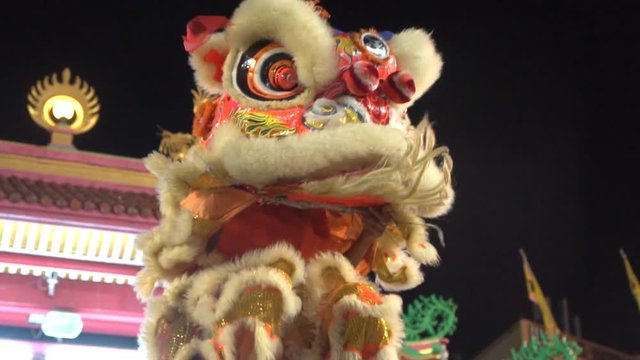 Chinese lion dance performing