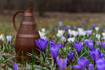 beautiful jug in the colors