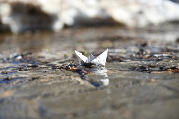 newspaper ship sails