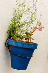 ceramic flower pot with flowers hung on the wall, decorating the urban space