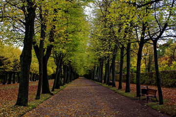 Naklejka premium autumn day in a deserted Park