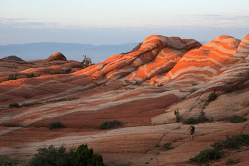 Yant Flat, Candy Cliffs, Utah, US. Hiker goes at dawn to the rocks with red and white waves.