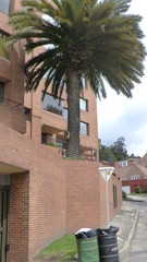 street in cordoba spain