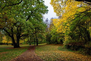 Fototapeta premium autumn day in a deserted Park