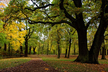 Naklejka premium autumn day in a deserted Park