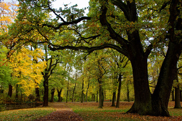 Naklejka premium autumn day in a deserted Park