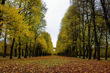 autumn day in a deserted Park