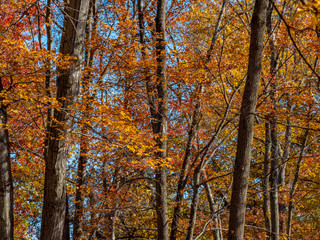 Pascack Brook Park 0083