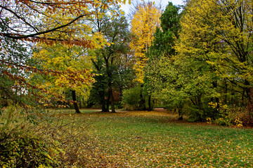 Naklejka premium autumn day in a deserted Park