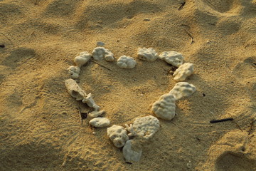 海の砂浜貝殻で作ったハート型サンゴ