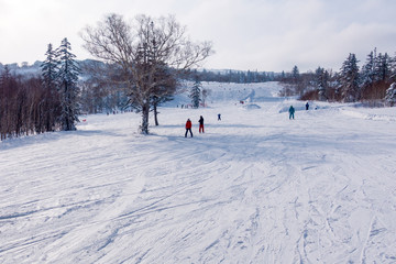 Fototapeta na wymiar 北海道のスキー場 / 北海道札幌市の観光イメージ