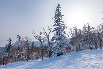 北海道のスキー場 / 北海道札幌市の観光イメージ