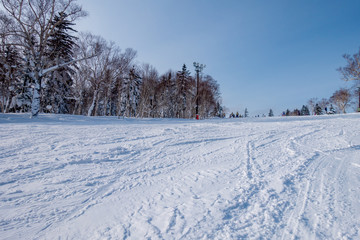 北海道のスキー場 / 北海道札幌市の観光イメージ