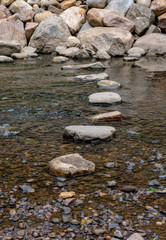 Stepping Stones in the stream