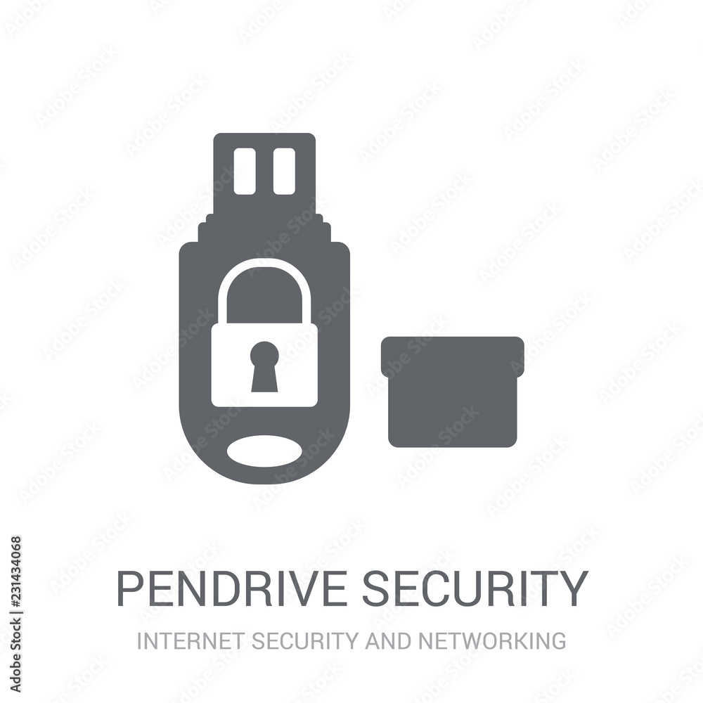 Poster pendrive security icon. trendy pendrive security logo concept on white background from internet secu