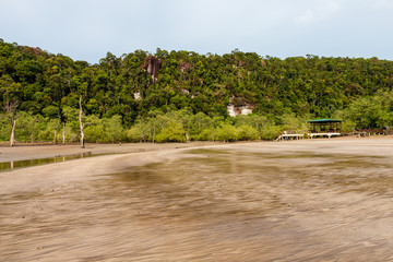 Large Mangrove Forest area at low tide in a remote part of Borneos Sarawak state