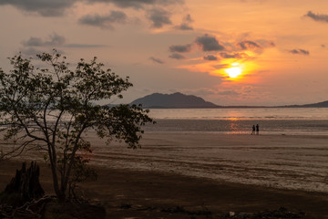 Tropical sunset over the ocean at low tide in a mangrove forest in Borneo