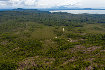 Fototapeta na wymiar Aerial drone view of dense tropical rainforest canopy in the Bako area of Sarawak, Malaysian Borneo