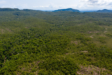 Obraz premium Aerial drone view of dense tropical rainforest canopy in the Bako area of Sarawak, Malaysian Borneo