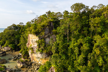 Aerial drone view of mangrove forest and dense tropical rainforest