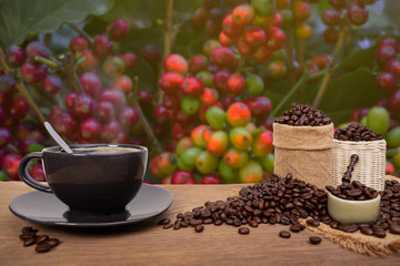 Hot cup of coffee  and beans with burlap sack on the wooden table, with copy space
