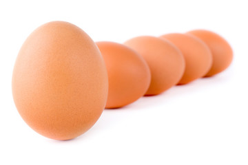 Five eggs are isolated on a white background