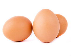 eggs on white background