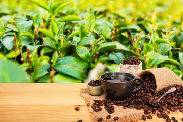 Hot cup of coffee and beans with burlap sack on the wooden table, with copy space