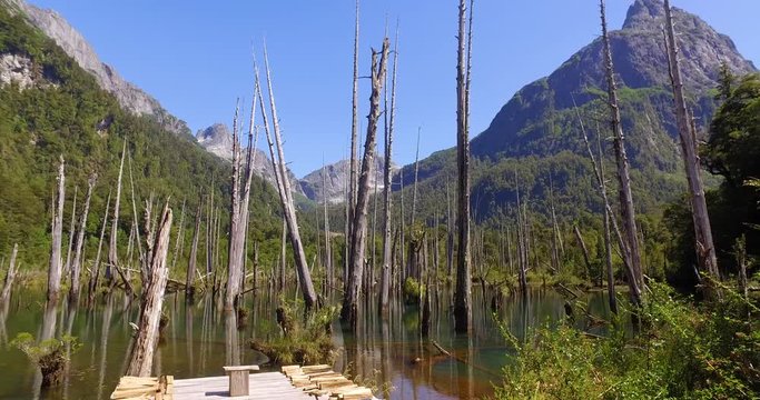 View of the Tagua Tagua park and its diverse geography, with forests, mountains, lagoons and waterfalls