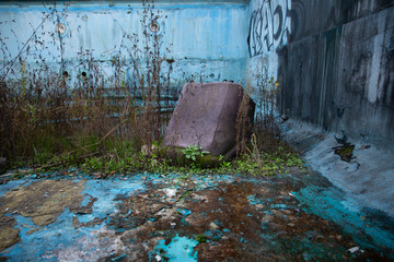 Nature covers abandoned swimming pool