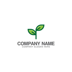 Growth green leaves logo design vector template